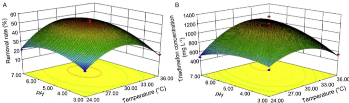Fig. 2. Three-dimensional response surfaces of removal rate estimated from the Box-Behnken design by (A) plotting the fermentation temperature versus the fermentation pH of triadimenol concentration and (B) the interaction of the fermentation temperature v