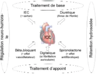 Figure 2 Illustration de l'approche pharmacologtque intégrée de I insuffisance cardiaque chronique (ICC) 