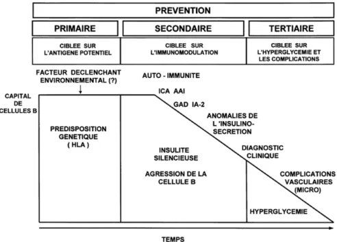 Figure 4 : Illustration des stratégies de prévention primaire, secondaire et tertiaire dans le diabète de type 2.