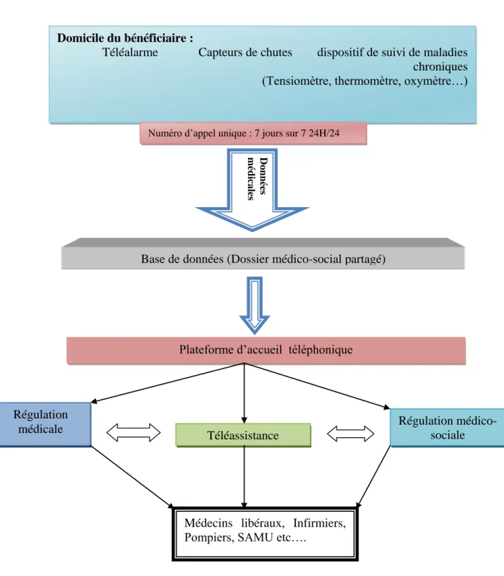 Figure 1: schéma du réseau de santé intégré autonom@dom. 