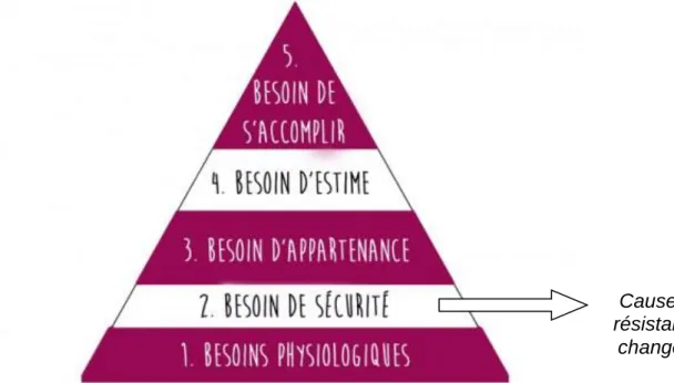 Illustration n°5 : Pyramide de Maslow 24