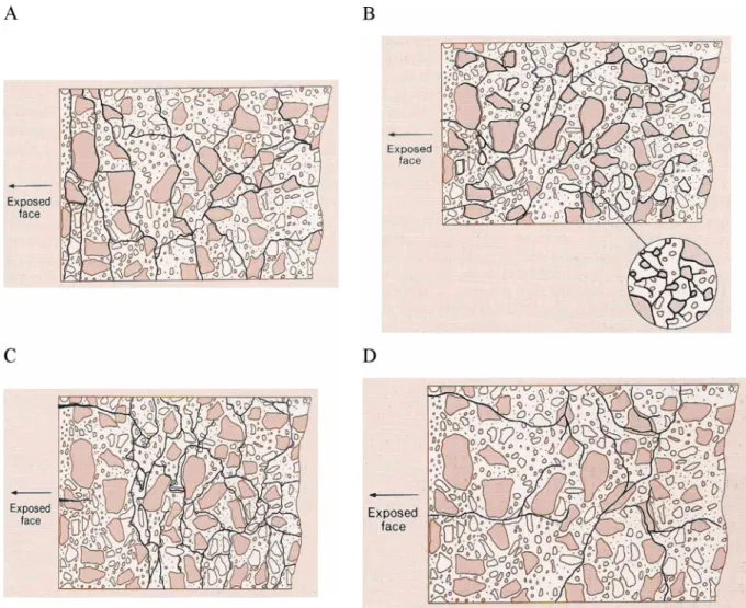 Figure  2.1:  Crack pattern in  concrete  caused by  different  deleterious  mechanisms  (BCA,  1992)