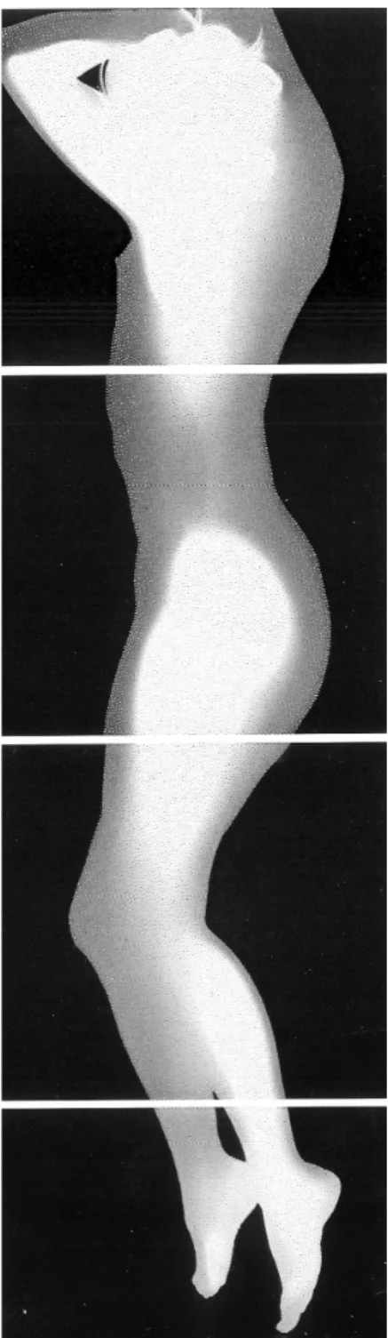 Fig. 10 - Henry Foucault, Satori 