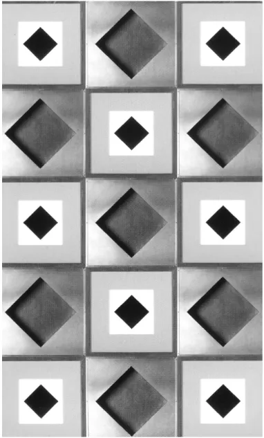 Fig. 2 - Henry Foucault, Imago 