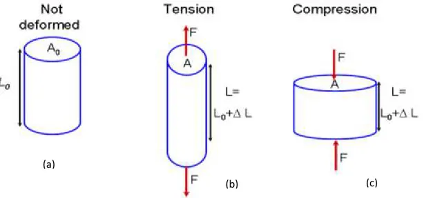 Figure 1.5: Sketch of a material under various modes of applied load: (a) no load, (b) in  tension, and (c) in compression 