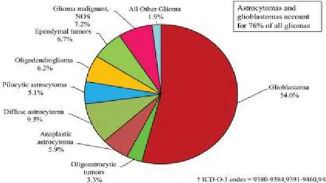 Figure 1. 2: Distribution of gliomas by histological types. 