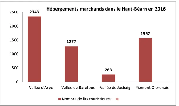 Figure 2 : Hébergements marchands dans le Haut-Béarn en 2016. Source : Boite à outils, Observatoire du CDT  64, 2016 