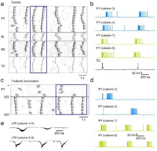 Figure 2.8 Modeling study of the effect of thalamic deafferentation on the neocortical slow oscillation