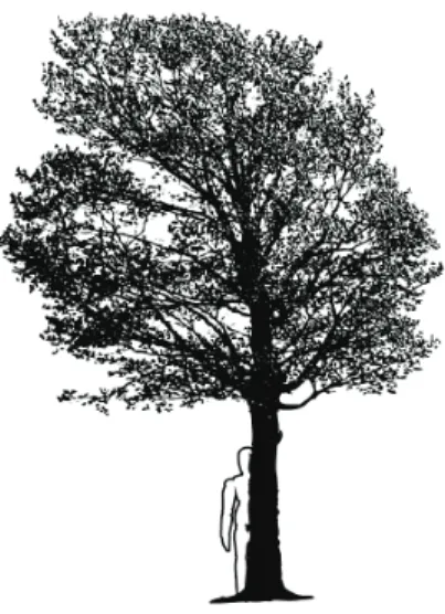 fig. 21 – Calque de la personne placé en dessous du calque de  l’arbre 