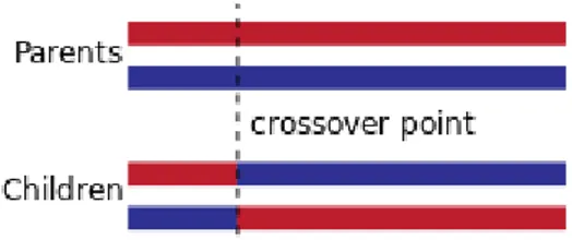 Figure 6 Schéma de croisement « cross-over » 