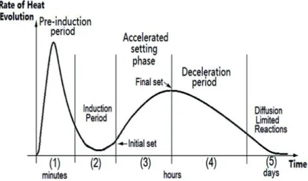 Figure 8 – Heat evolution during hydration process  Source: (ZHANG, et al., 2015) 
