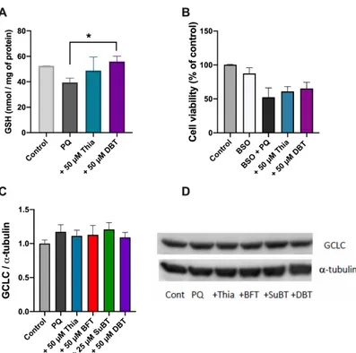 Figure 6. Antioxidant effect of DBT and reduced glutathione (GSH) metabolism. (A) Effect of DBT (50  µM, 25 h) on the GSH content in Neuro2a cells treated by PQ (0.25 mM, 24 h)