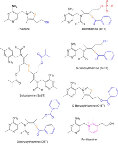 Figure 1. Structural formulas of thiamine, thiamine precursors used in this study, and the thiamine  antimetabolite pyrithiamine