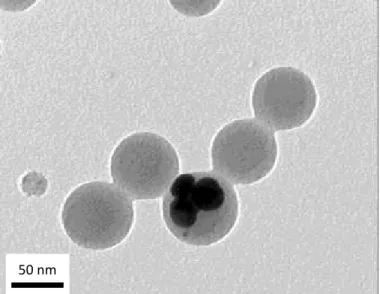 Figure  1.1 :  Image  MET  d’un  latex dopé par des nanoparticules d’argent  et  d’un  complexe  fluorescent