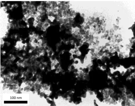 Figure 6.1 : Image MET d’une réduction d’or en présence de nanoparticules magnétiques  fonctionnalisées à l’acide 11-mercaptoundecanoïque