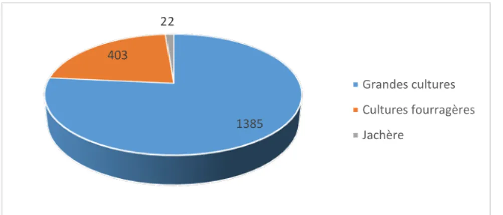 Figure 8 : répartition des surfaces par type de cultures en 2012 (CA 37)