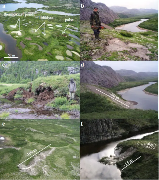 Figure 2.4  Permafrost decay features in the Sheldrake River catchment. Photographs: (a)  typical thermokarst landscape in the forest tundra area; (b) a frostboil evolving into an  active layer failure; (c) palsa peat blocks falling in a pond (photo: D