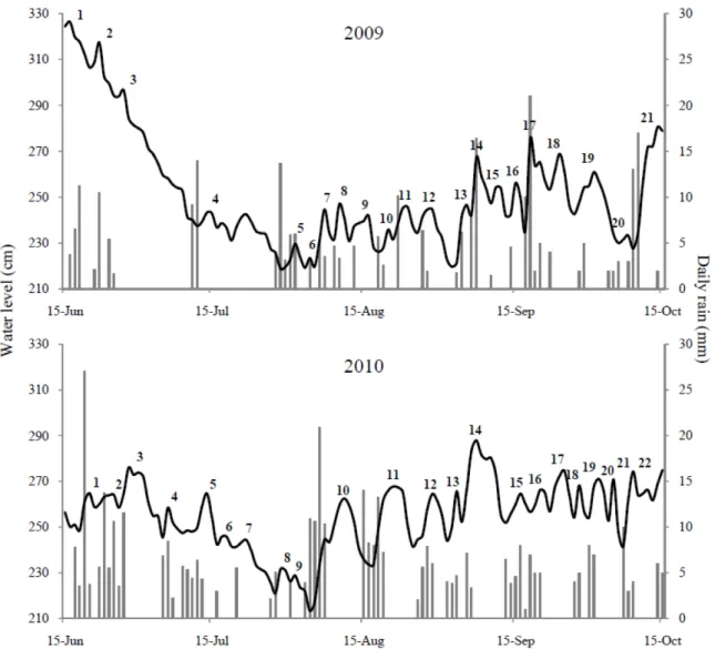 Figure 2.7  Hygrographs (water level) of the Sheldrake River from mid-June to mid- mid-October in 2009 and in 2010