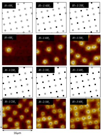 FIG. 4. (color online) Contour plots: Scanning Hall probe microscopy images obtained after field cooling down to T = 4.2 K in presence of the indicated dc magnetic field H = 0H 1 , 1/4H 1 , 1/3H 1 , 1/2H 1 , 2/3H 1 and H = 3/4H 1 