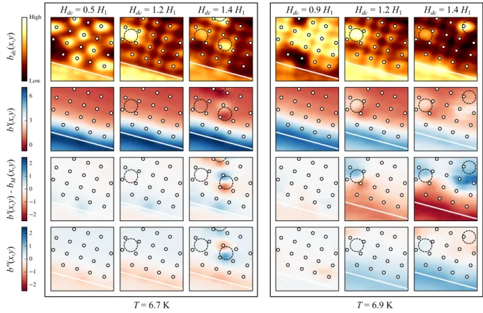 FIG. 6. (Color online) SSM images showing the ac response (mapped in a 16 ×16 µm 2 region near the sample edge) to a 77.123 Hz excitation field of amplitude µ 0 h ac = 0.016 mT for different field values at T = 6.7 K (left) and T = 6.9 K (right)