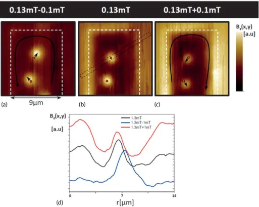 Fig. 2.5: The reaction at the end of a 9 μm wide superconducting Pb ribbon to a magnetic ﬁeld vari- vari-ation is shown by making snapshots of the z-component of the local induction, B z ( x, y ) , as  mea-sured by SHPM