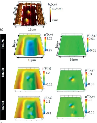 Fig. 2.8: (a) Scanning Hall probe microscopy image of the local induction, B z ( x, y ) , acquired dur- dur-ing shakdur-ing with an external applied ac ﬁeld of amplitude, h ac = 0.1 mT, and with frequency, f = 77.123 Hz at a temperature of T = 6.7 K