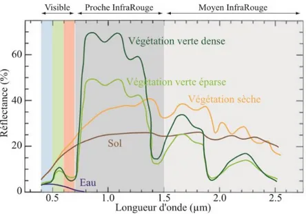 Figure 3: exemples de signatures spectrales de végétations, du sol et de l’eau 6