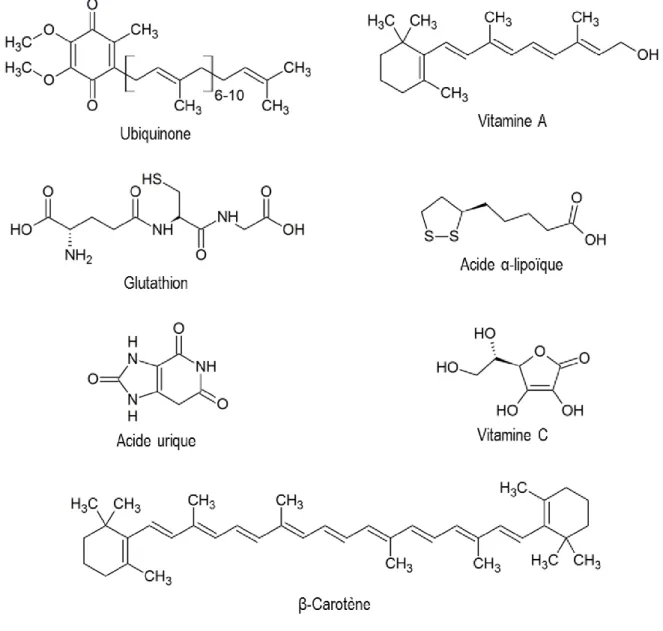 Figure 3. Exemples de petites molécules antioxydantes. 