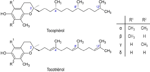 Figure 4. Structures des tocophérols et des tocotriénols. 
