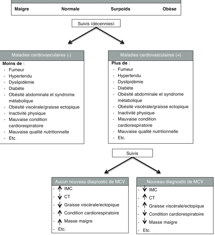 Figure 4: Paradoxe de l'obésité, adaptée de Bastien et al. Prog Cardiovasc Dis, 2014 [39] 