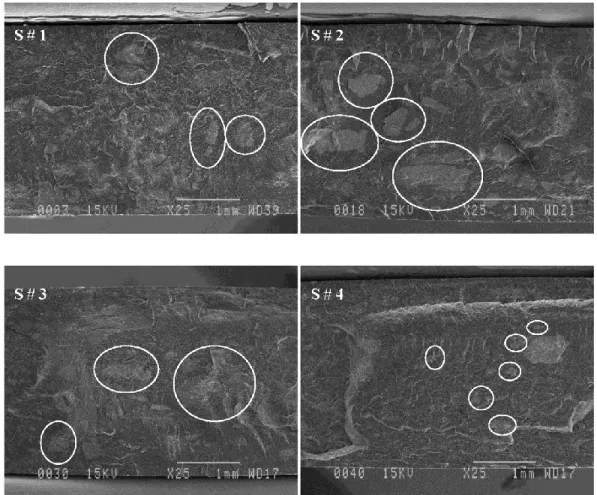Figure 2.2. SEM micrographs of PP/r-EPDM samples without PP-g-MA for different  sequences