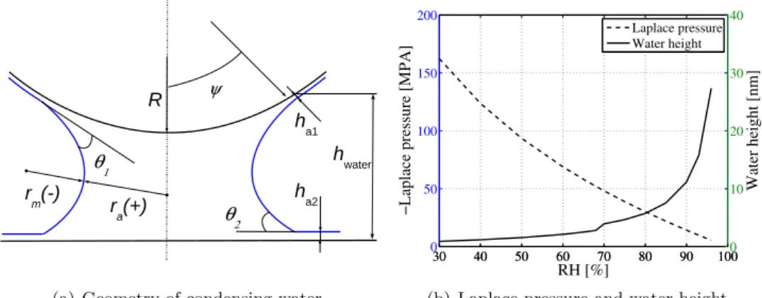 Figure 1: The configuration of condensing water. (a) Meniscus and absorbed surface layers condensing between a sphere and a half space (for a negative meridian radius r m and a positive azimuthal radius r a )