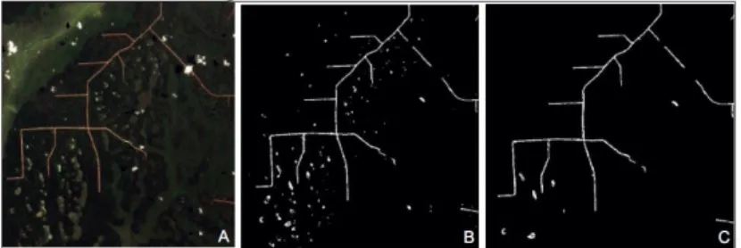 Figure 4 : Extrait d'une image Landsat ETM+ (A) du réseau routier utilisant l'identification du sol nu (NDVI et  GREEN-RED) (B) et l'image finale en appliquant le filtre morphologique (C) (Bourbier et al