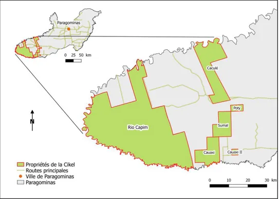 Figure 6 : Localisation des différentes propriétés d'exploitation forestière de la Cikel  Brasil Verde Madeiras Ltda.