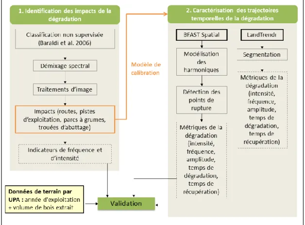 Figure 9 : Méthodologie globale pour l'identification des impacts et la caractérisation des trajectoires temporelles ds de la  dégradation forestière