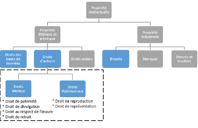 Figure 12 : Schéma de la propriété intellectuelle 