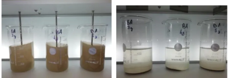 Figure 8. Photos des jar-tests, à gauche pendant la phase en agitation, à droite après décantation