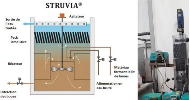 Figure 10. Schéma de principe du Struvia® et photo du pilote utilisé pour cette étude