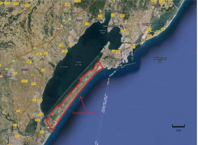 Figure 1 : Plan de situation du lido de Sète à Marseillan 