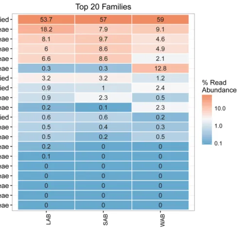 FIGURE 3 | Heatmap of the top 20 ureC gene families from different rumen fractions. Taxonomic assignment shows the phylum and family level for each row