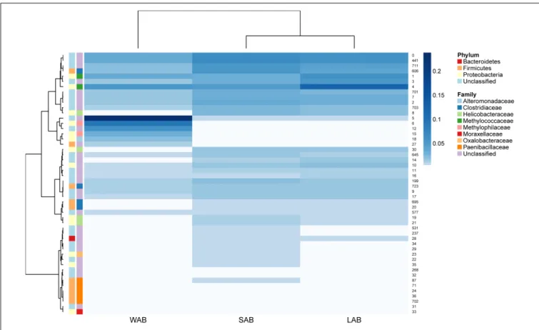 FIGURE 4 | Rumen ureC gene community heatmaps and clustering of the most abundant 50 operational taxonomic units (OTUs) from different rumen fractions