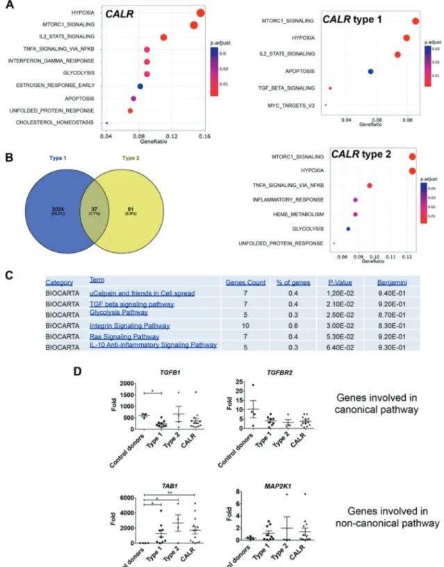 Fig. 7 CALR type 1 and type 2 mutations induce mild gene expression deregulation in megakaryocytes