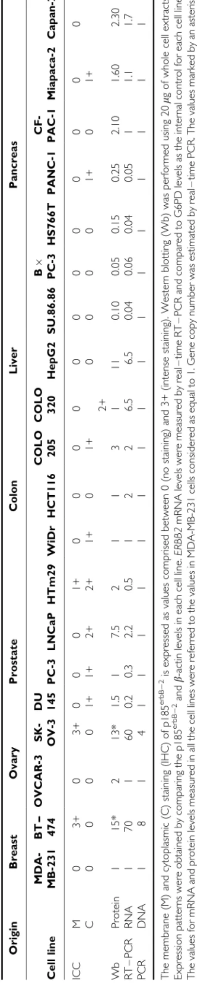 Figure 1 Representative examples of p185 c-erbB-2 immunostaining in cancer cell lines