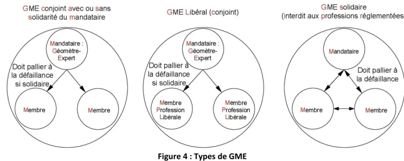 Figure 4 : Types de GME 