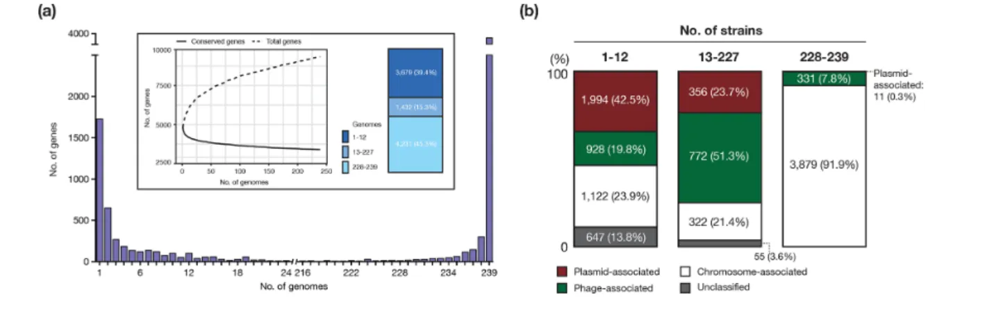 Fig. 4. Plasmid- and phage- associated genes in the pangenome of O145:H28. (a) Genes were analysed by frequency histogram (the  number of genes present in any given number of genomes indicated on the x- axis)