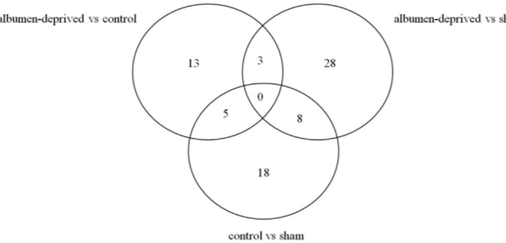 Figure 2.  Venn-diagram showing 75 significantly differentially expressed (DE) genes. Genes are DE  between the non-manipulated, sham-manipulated and albumen-deprived hens, including only previously  identified genes