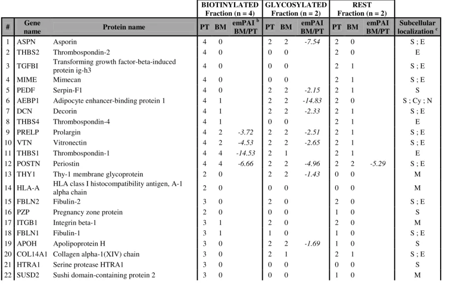 Table 1: Membrane and extracellular proteins identified as down-regulated in the bone metastasis (BM) compared to its primary breast tumor 