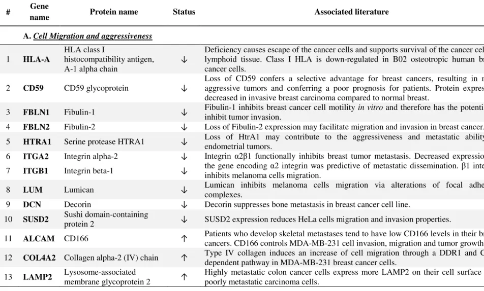 Table 3: Representative differentially expressed proteins potentially associated with bone metastases and found as down- (↓) or up- (↑) regulated  in the bone metastasis when compared with the primary breast tumor