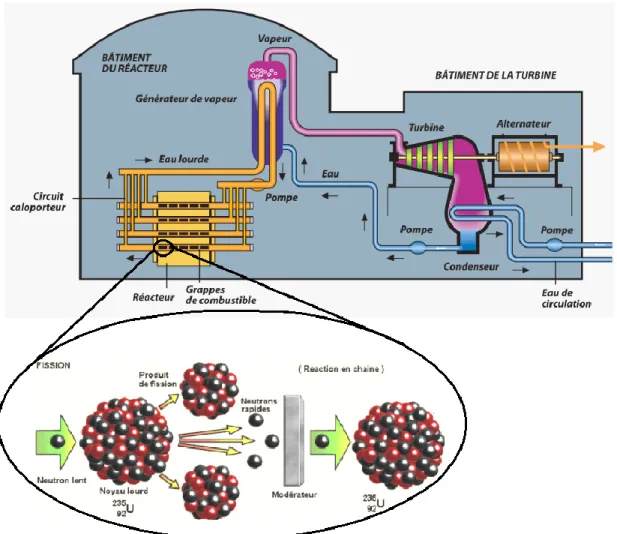 Figure 5. Schéma d’une réaction de fission ( 235 U) ainsi que le fonctionnement d’une centrale  nucléaire de type CANDU
