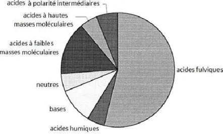 Figure 9. Représentation des catégories de la matière organique dissoute (adapté de S